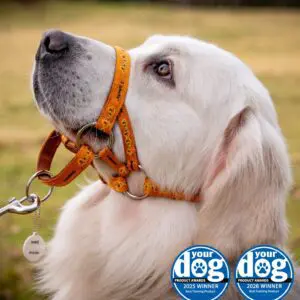 PCW Headcollar