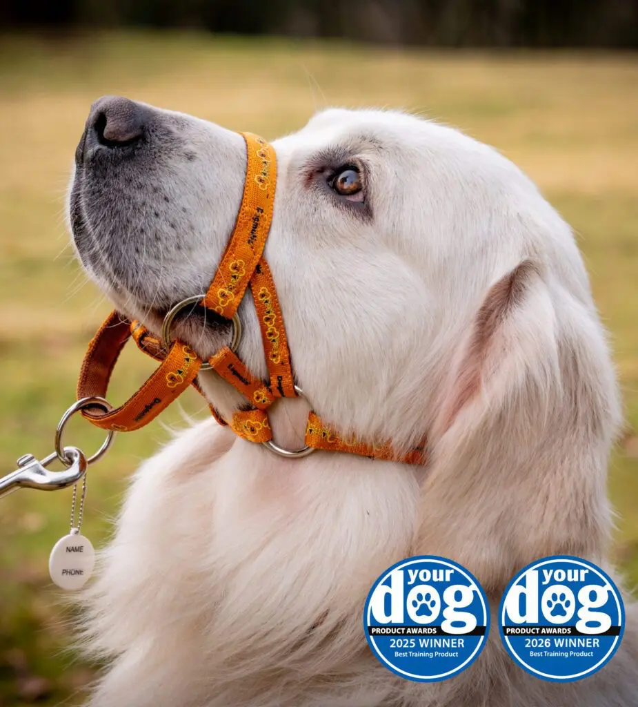 PCW Headcollar