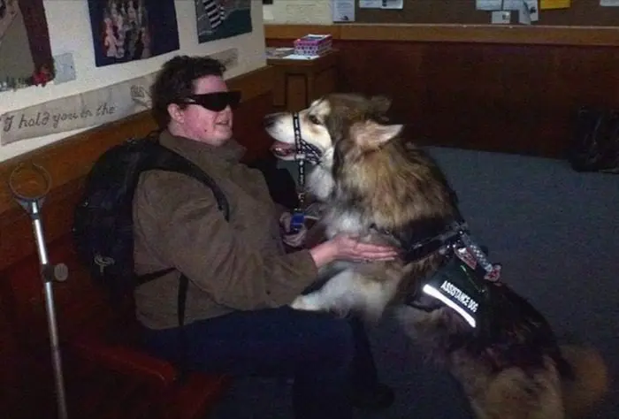 Bear GuideDog
