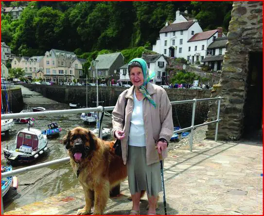 Leonberger PCW pic