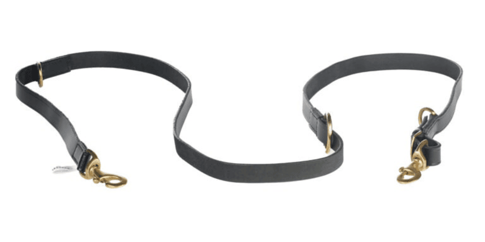 Dogmatic Leather Training Lead
