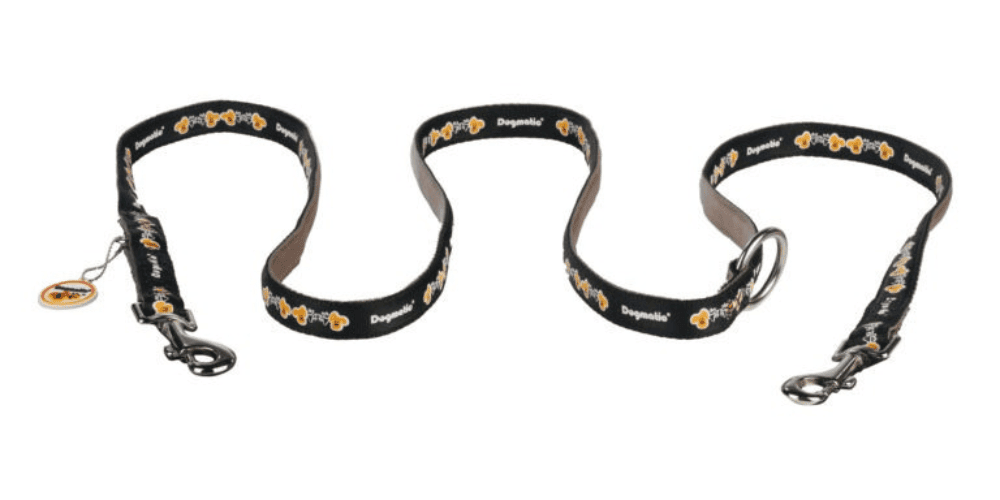 Dogmatic PCW Training Lead