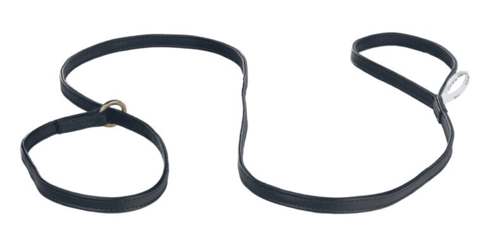 Dogmatic Soft Leather Show Slip Lead