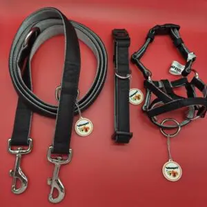 Dogmatic Synthetic Leather Adjustable Neck Collar