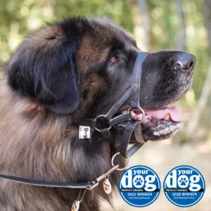 Dogmatic Synthetic Leather Headcollar