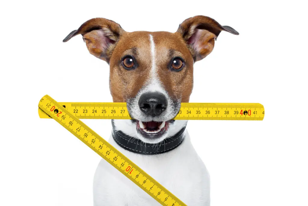 iStock 148190725