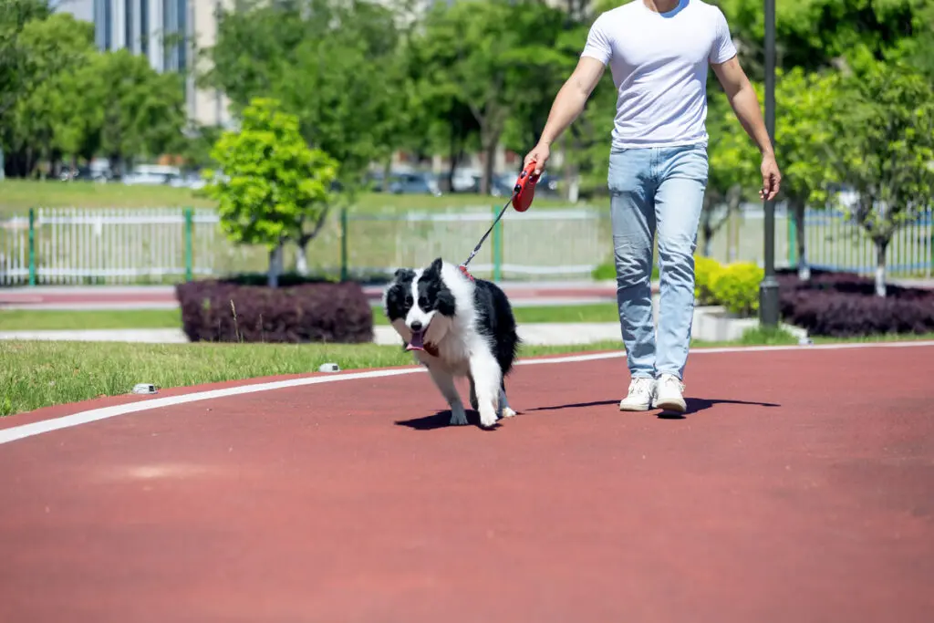iStock 2278636671