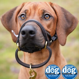 Dogmatic Leather Headcollar