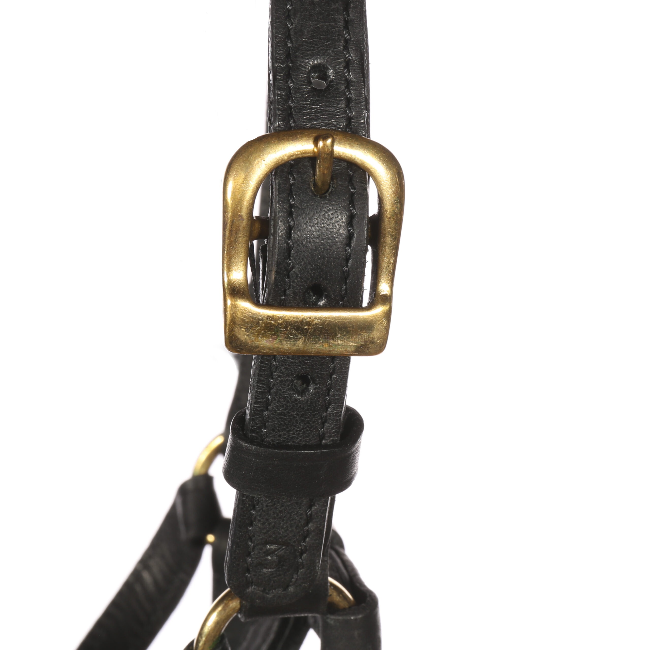 Dogmatic leather collar BLACK S3 3
