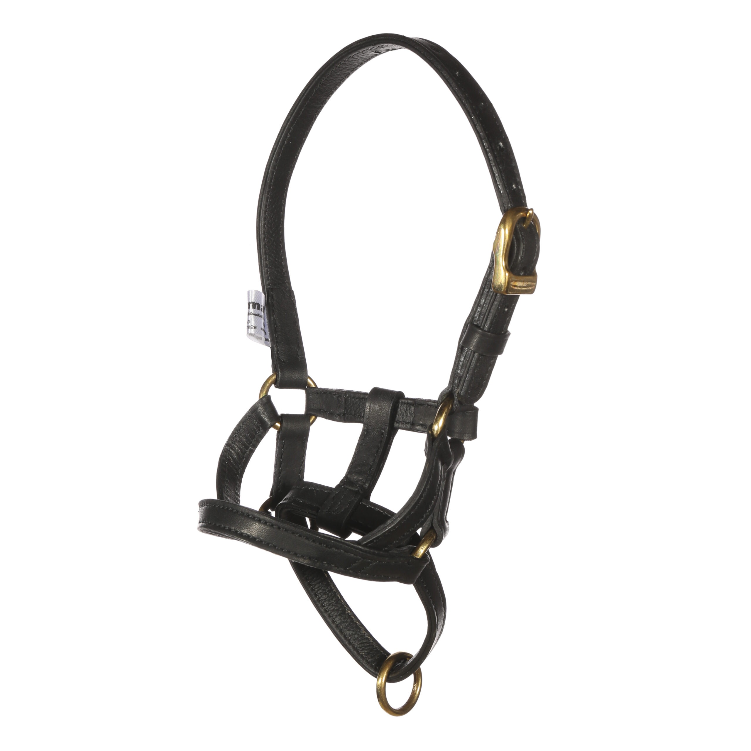 Dogmatic leather collar BLACK S4 1