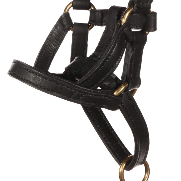 Dogmatic Leather Headcollar Dogmatic