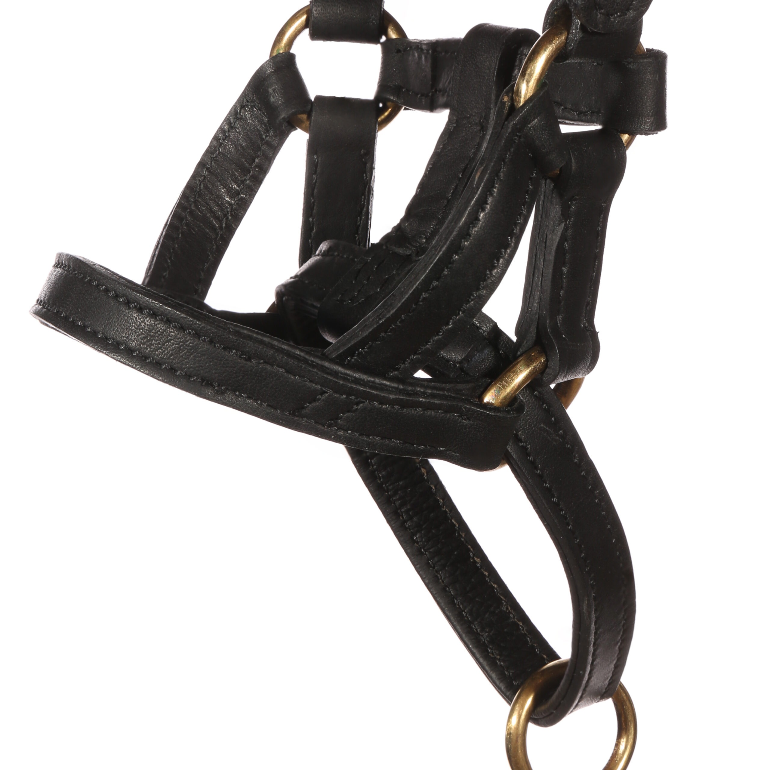 Dogmatic leather collar BLACK S4 2