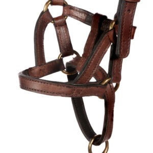 Dogmatic leather collar BROWN S3 2 scaled