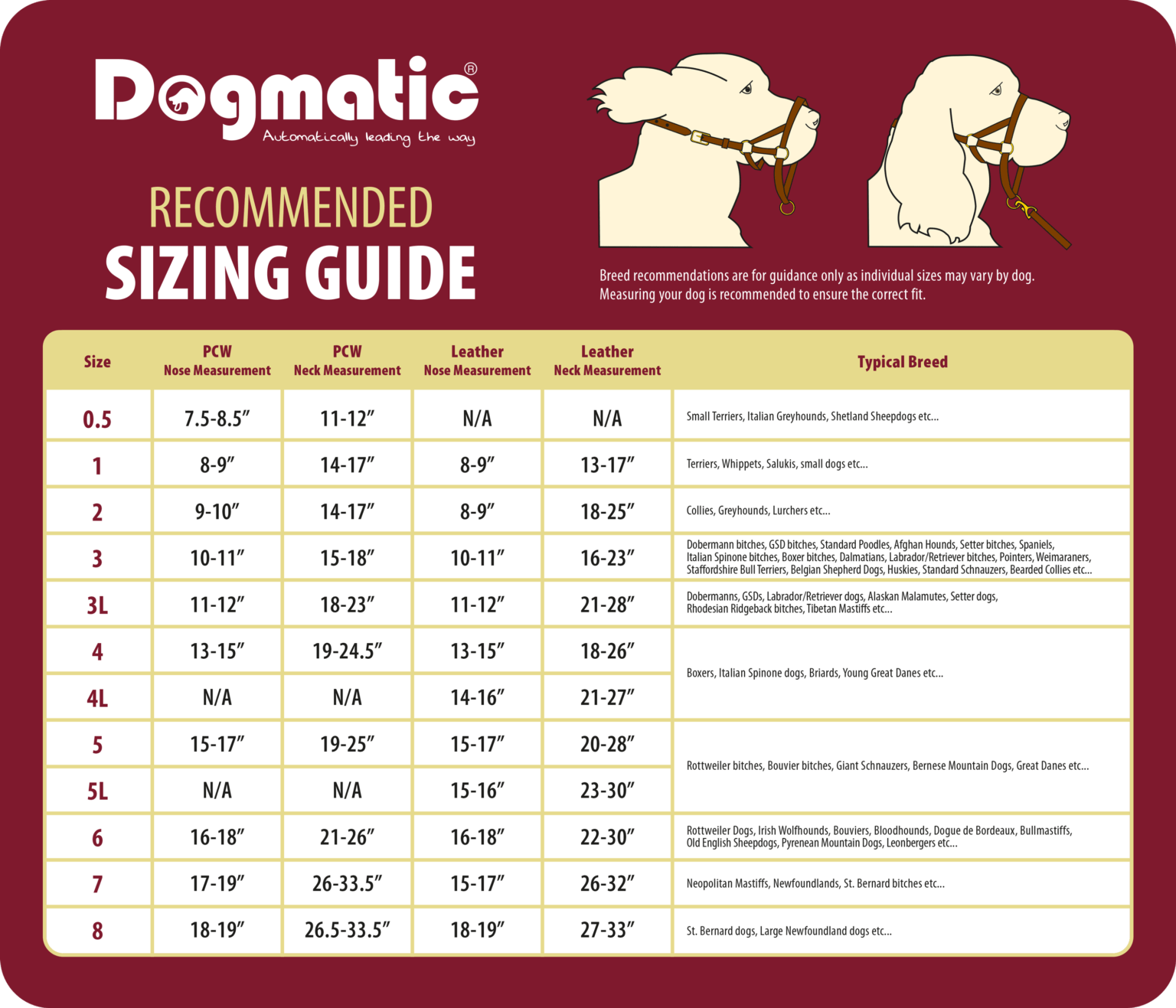 Dogmatic Leather Headcollar Dogmatic