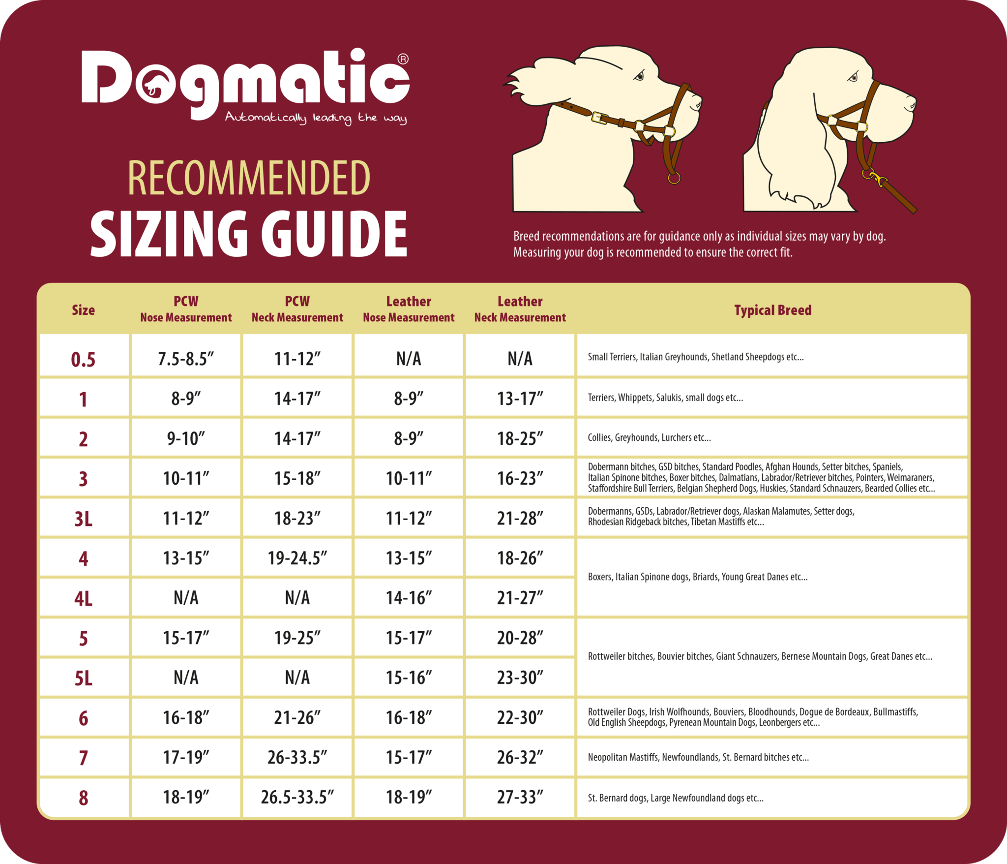 Dogmatic Leather Headcollar Dogmatic