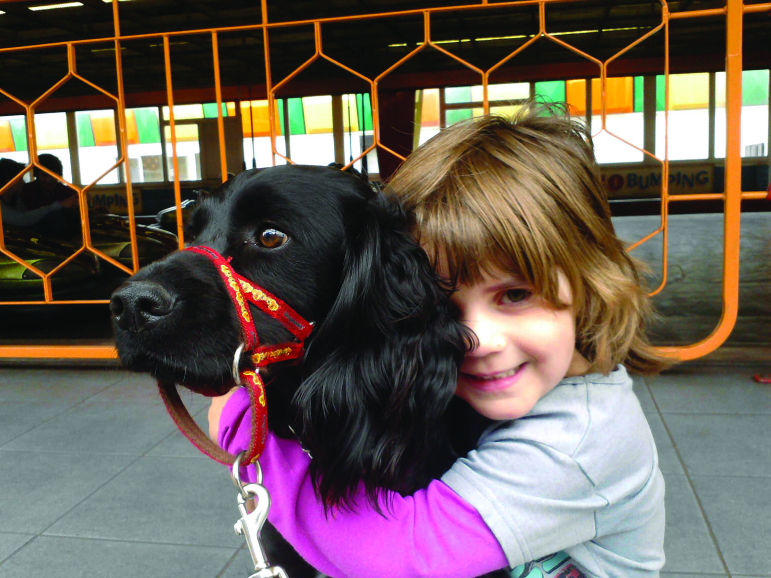 Customer Reviews Dogmatic