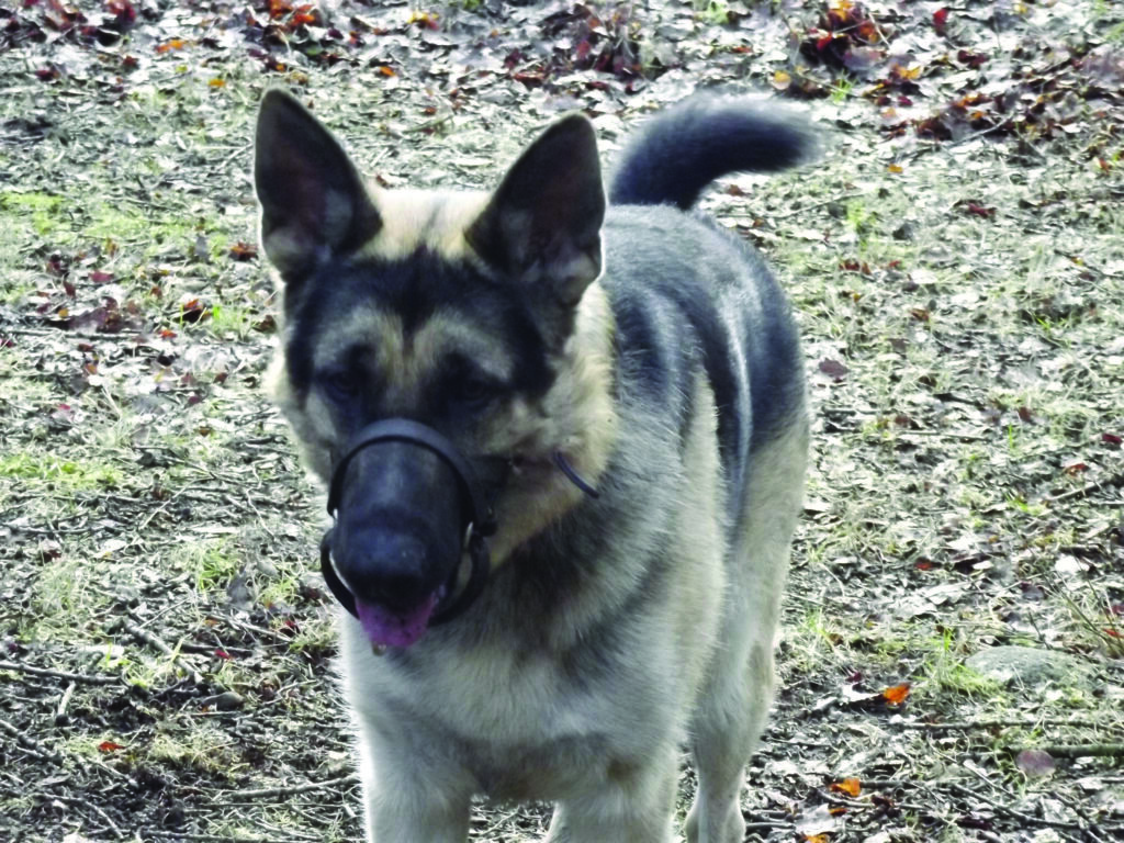 324793 10150544827744420 1321674429 o