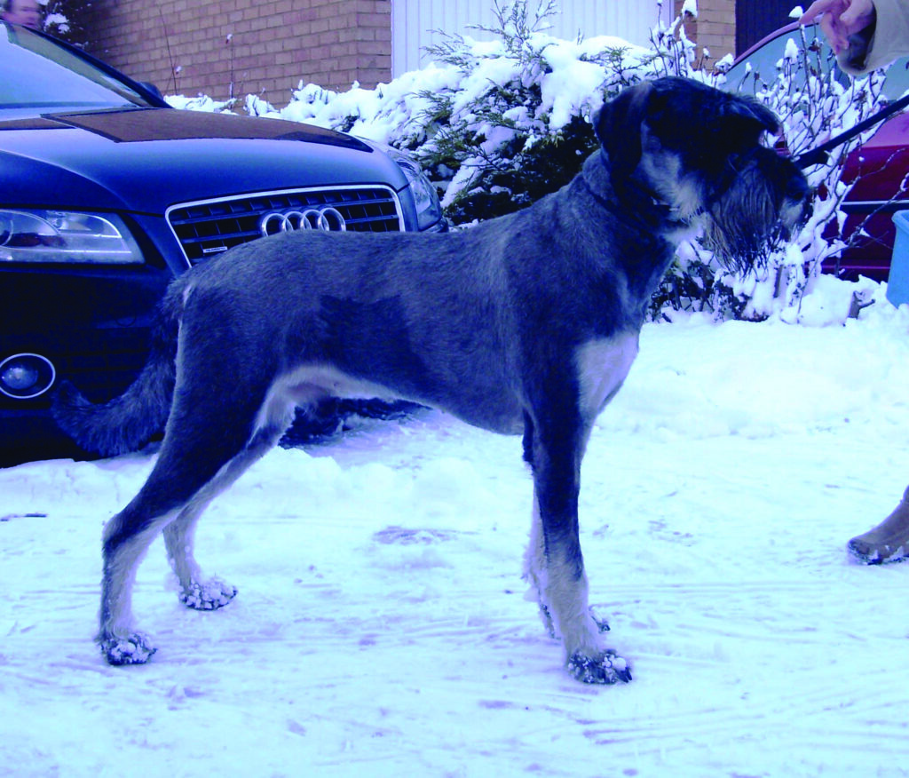 471509 10150939231139420 1350033420 o