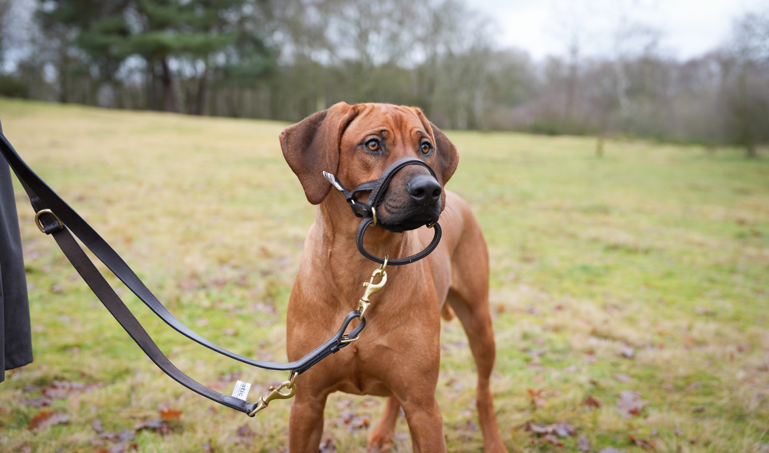 Andy Biggar Photography LTD Mw-2 (4)