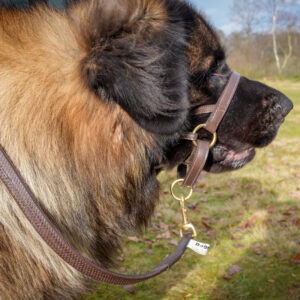 Full Non Slip Leads