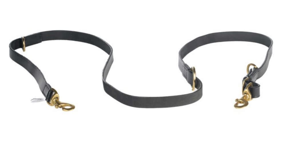 Dogmatic Leather Training Lead
