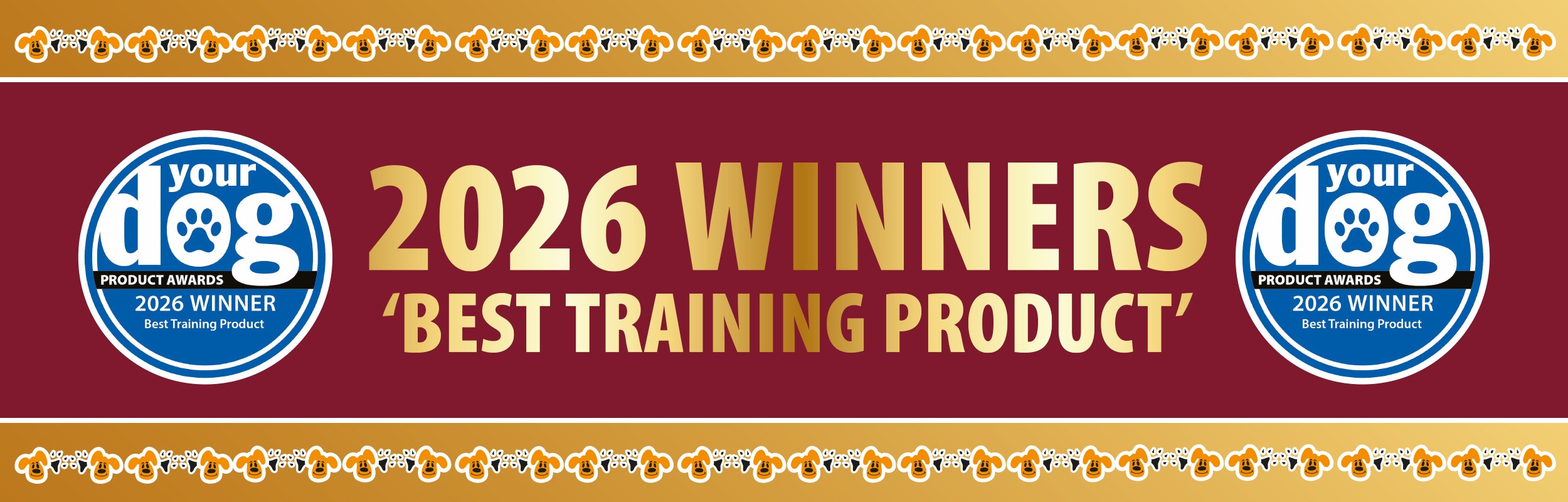 Best Training Product 2026 1