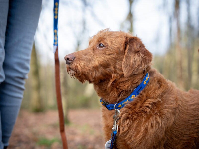 Andy Biggar Photography LTD Mw-19