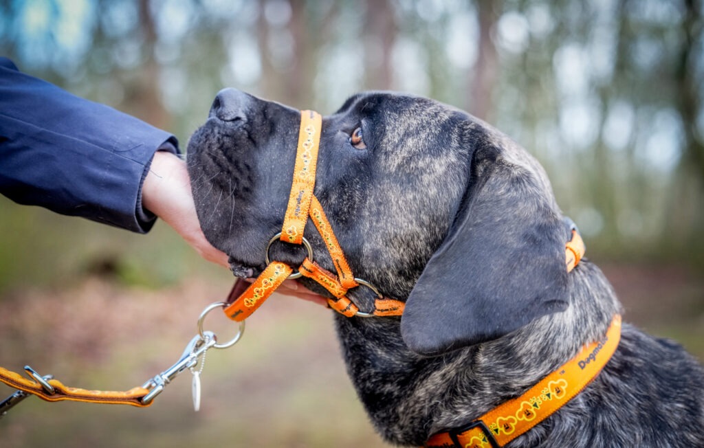 Andy Biggar Photography LTD Mw 40 scaled