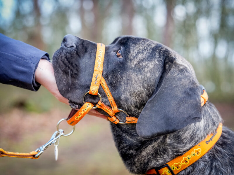 Andy Biggar Photography LTD Mw-40