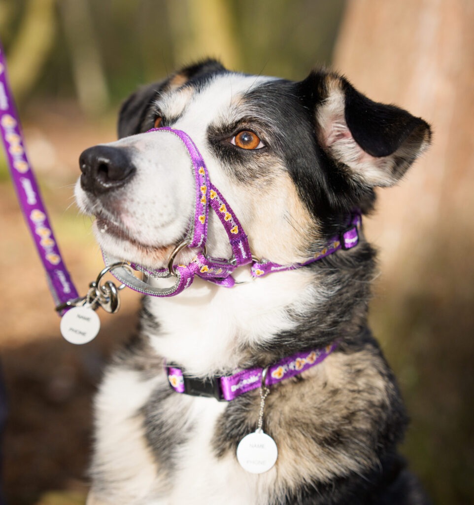 Andy Biggar Photography LTD Mw 5 scaled