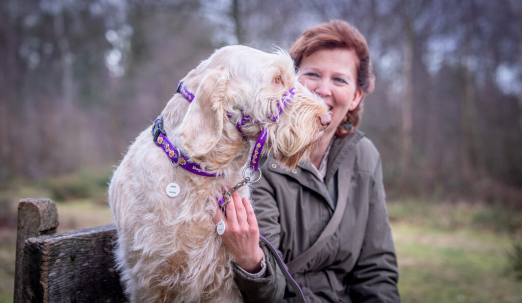 dogmatic uk promo scaled