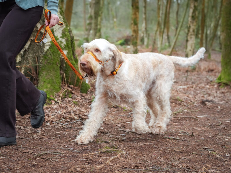 Andy Biggar Photography LTD M-77 (1)