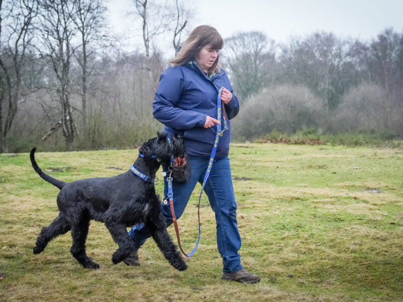 Andy Biggar Photography LTD Mw-12 (1)