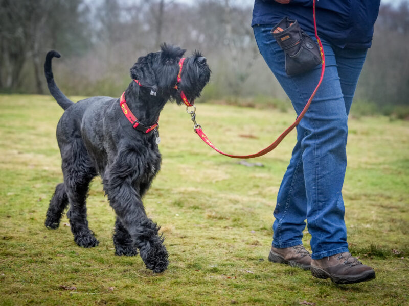 Andy Biggar Photography LTD Mw-23 (1)