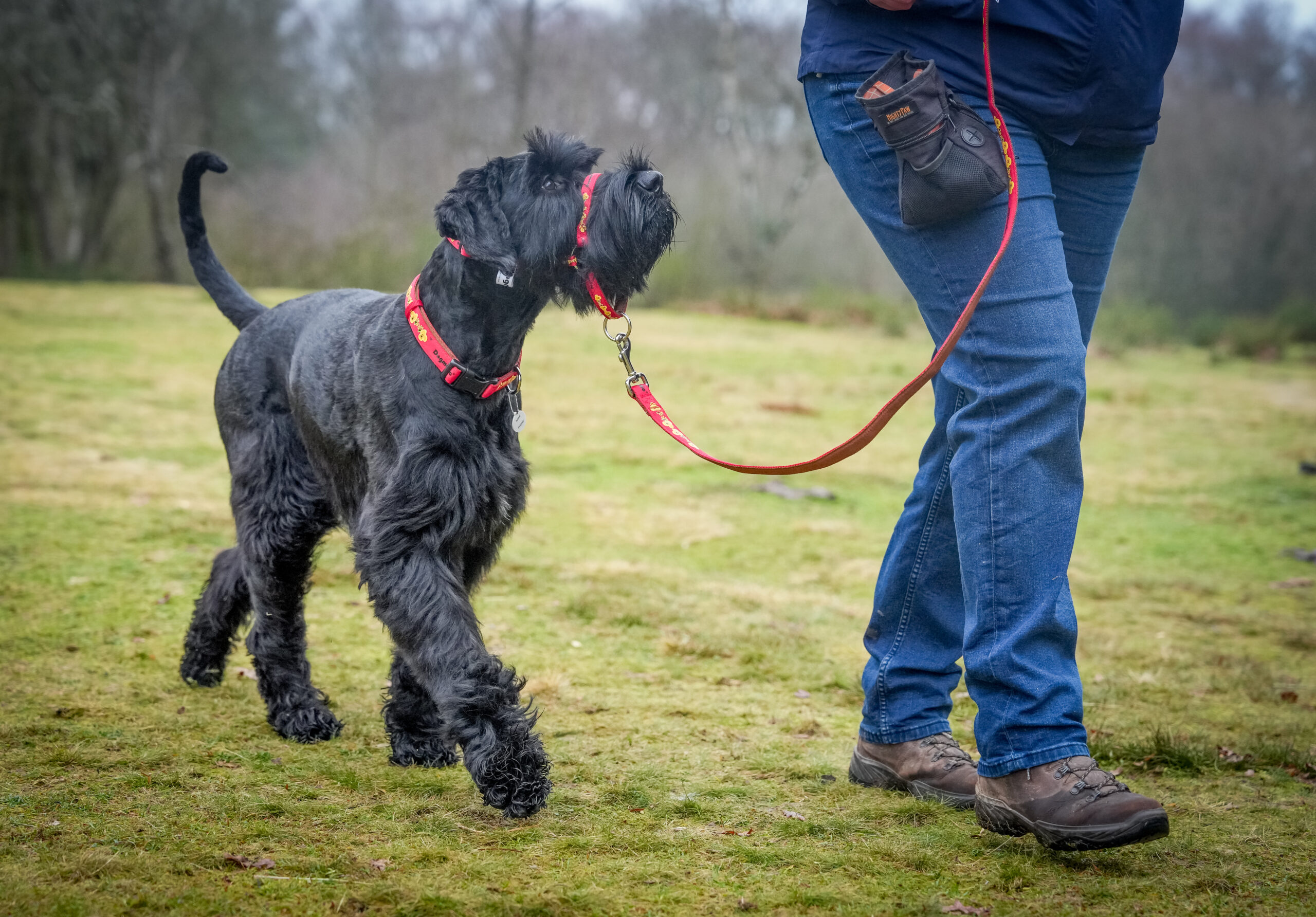 Andy Biggar Photography LTD Mw 23 1 scaled