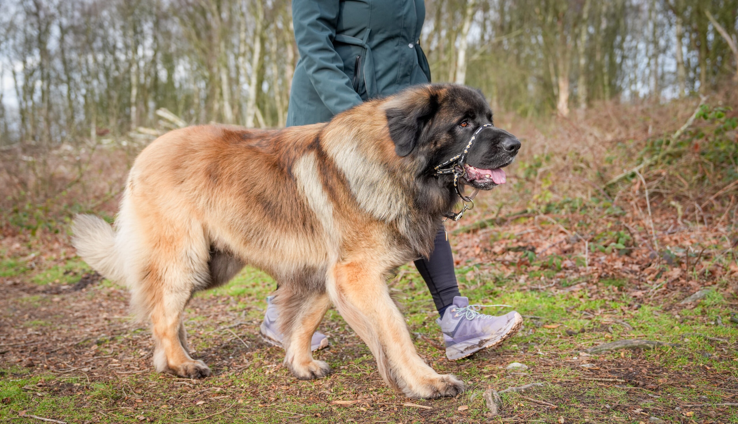 Andy Biggar Photography LTD Mw 27 1 scaled