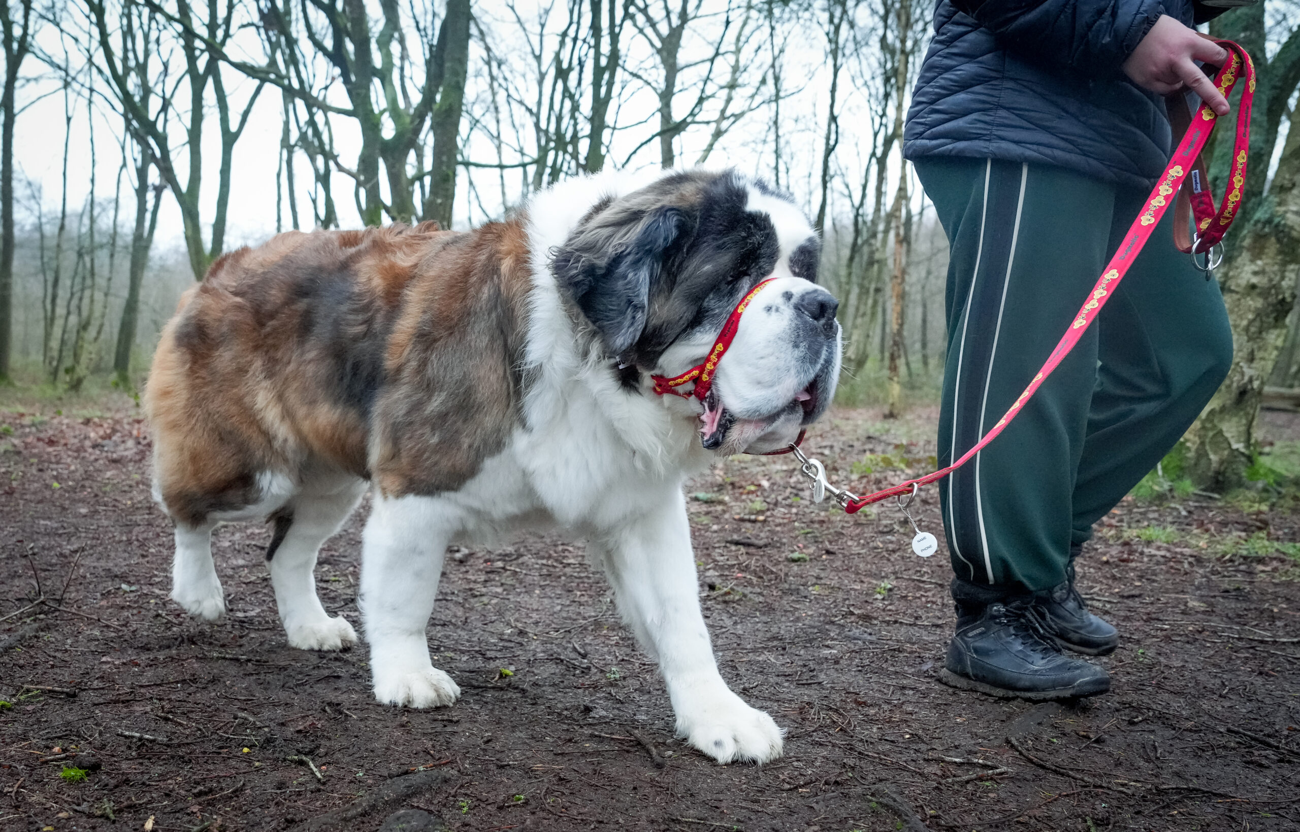 Andy Biggar Photography LTD Mw 59 scaled