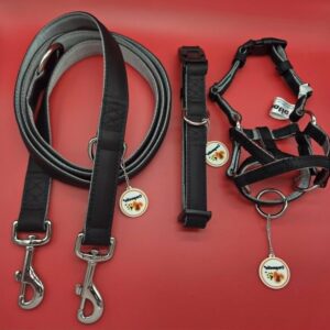 Dogmatic Synthetic Leather Adjustable Neck Collar