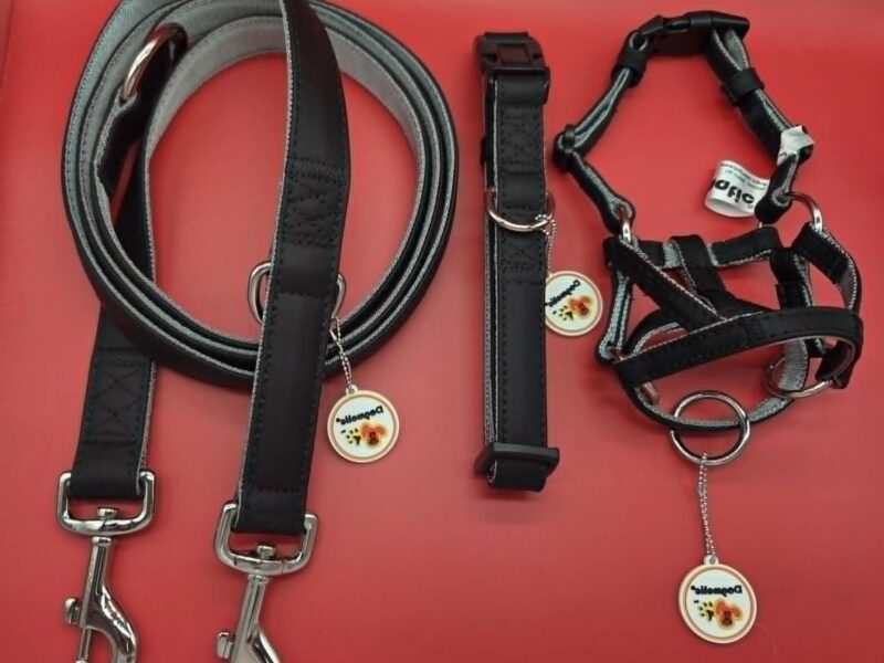 Synthetic Training Collection